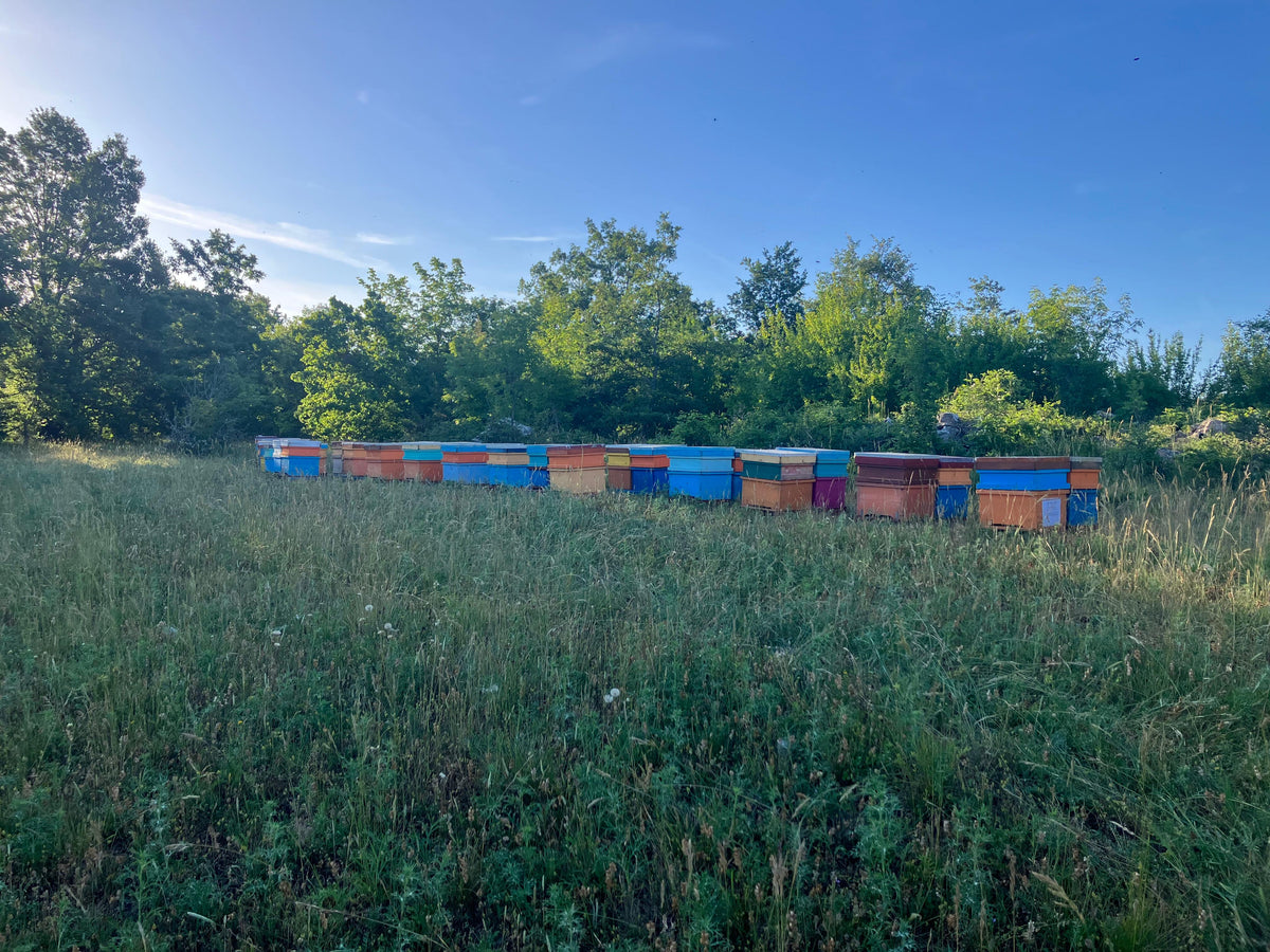 Miele Millefiori di Montagna