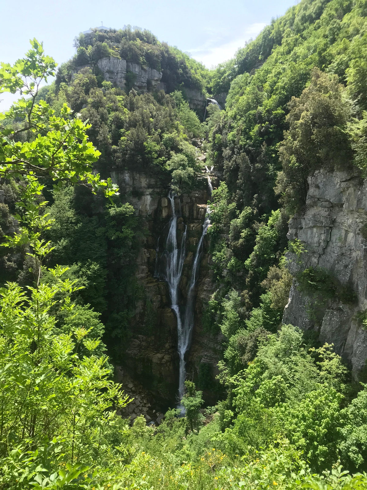 Miele Millefiori di Montagna